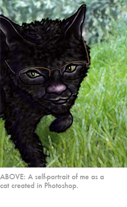 Cat image of Ann Ahearn