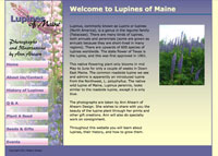 Lupine Website